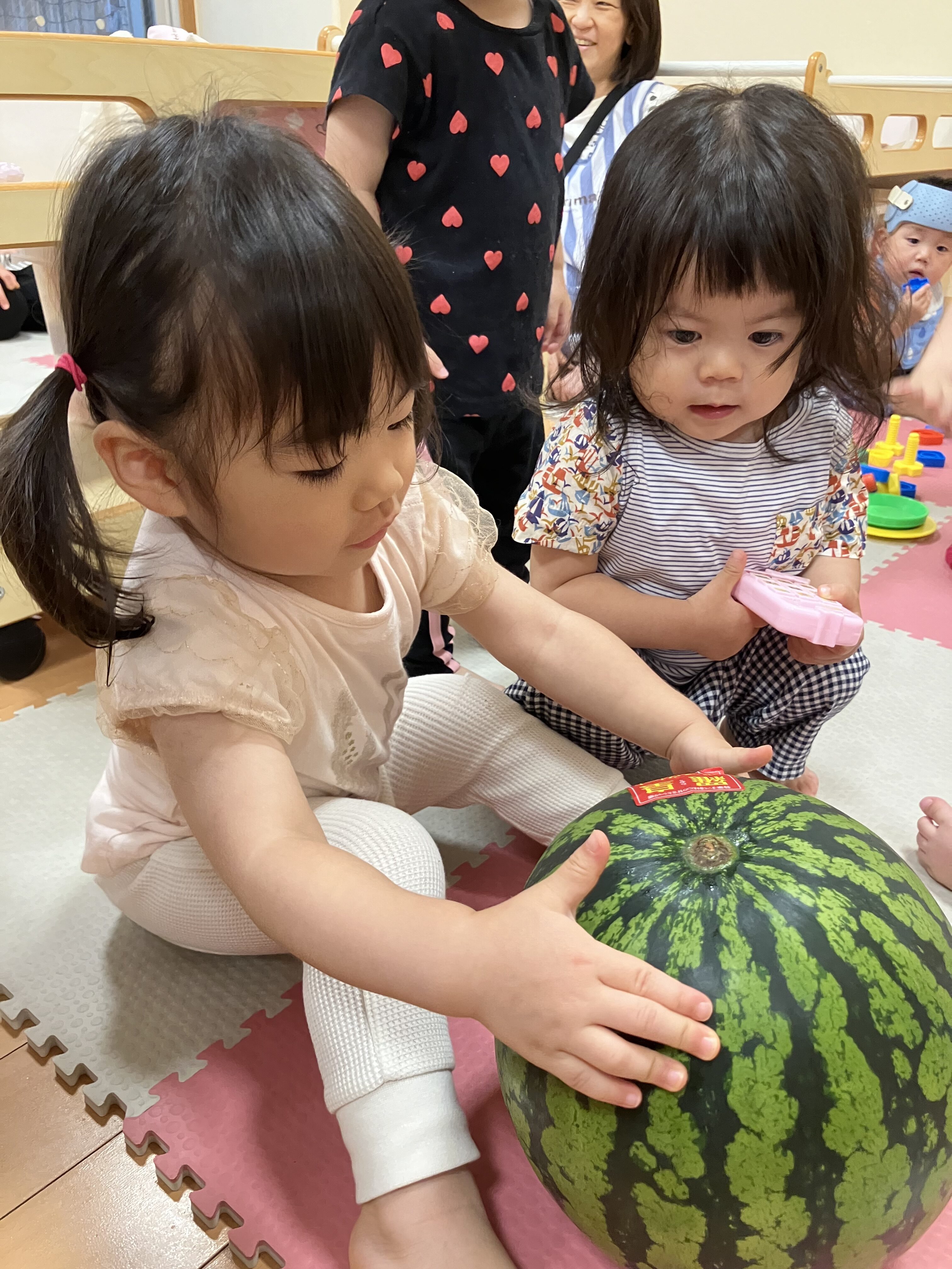 夏の食育活動