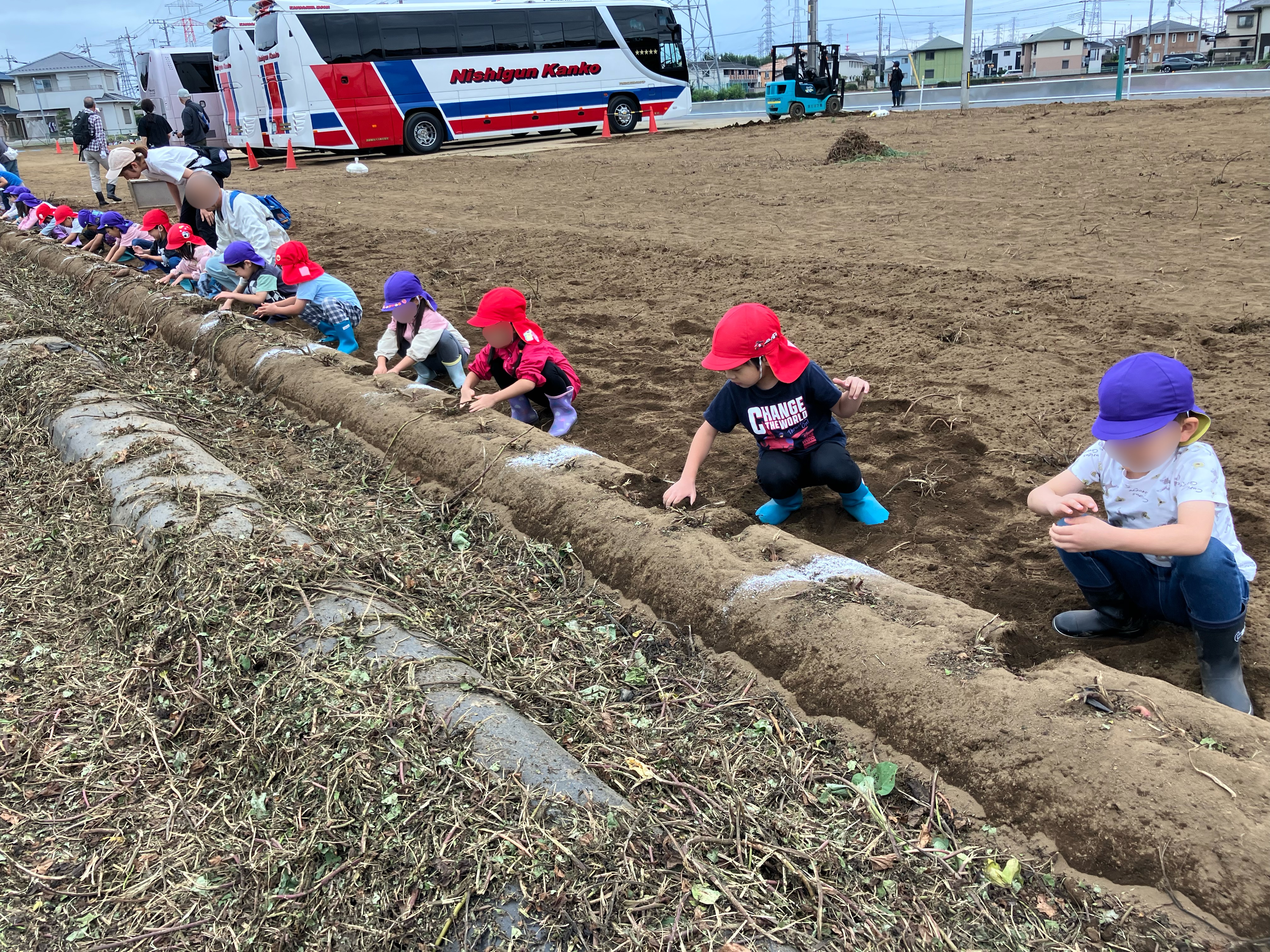 【4・5歳児　いもほり遠足】