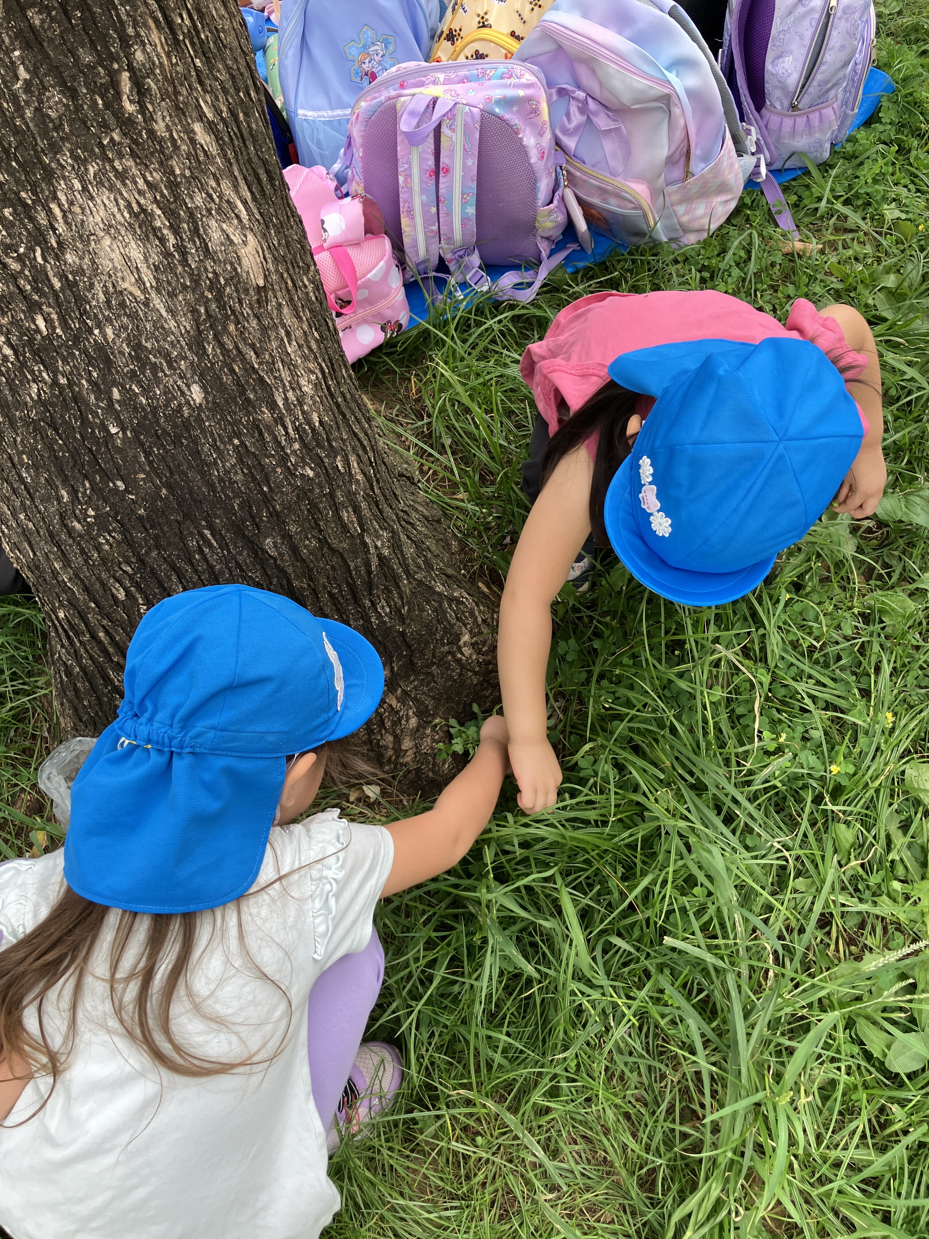 【3歳児　遠足】